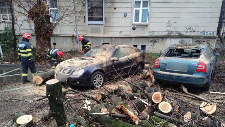 autoturisme lovite de copaci prabusiti Buzau