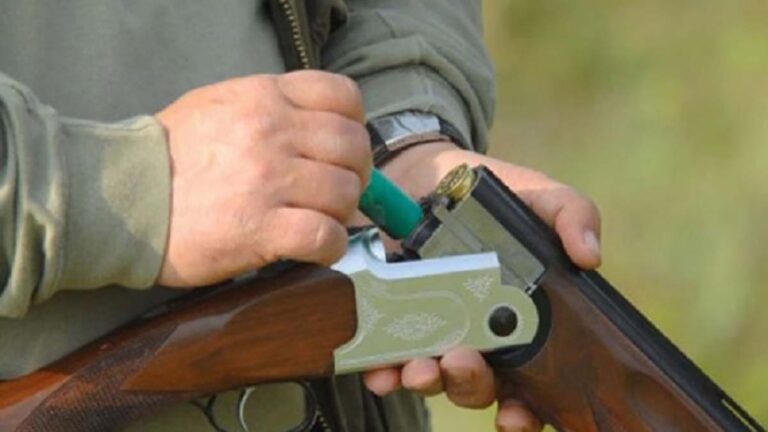 caine impuscat de un politist