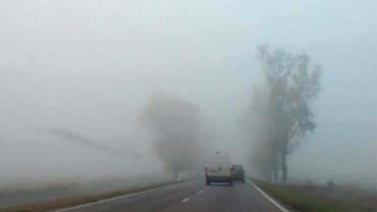 cof-galben-ceata