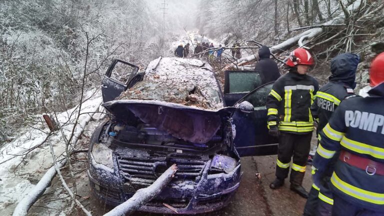 accident-resita