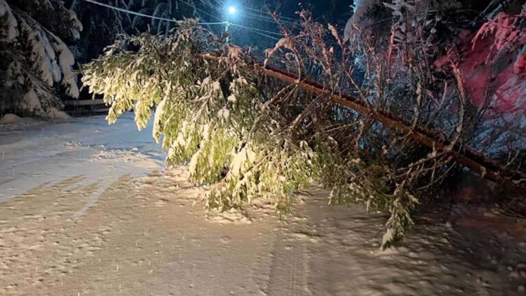 drumuri blocate Suceava