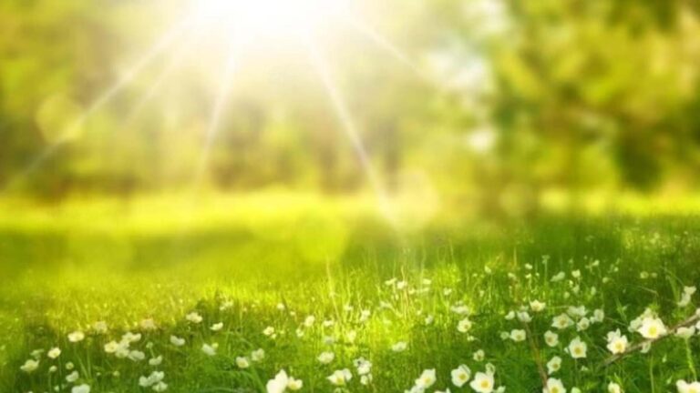 prognoza-meteo-iasi-4-11-mai